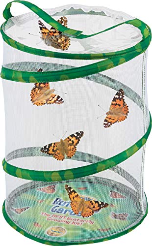 Insect Lore Butterfly Garden Habitat - JOY2ESpree