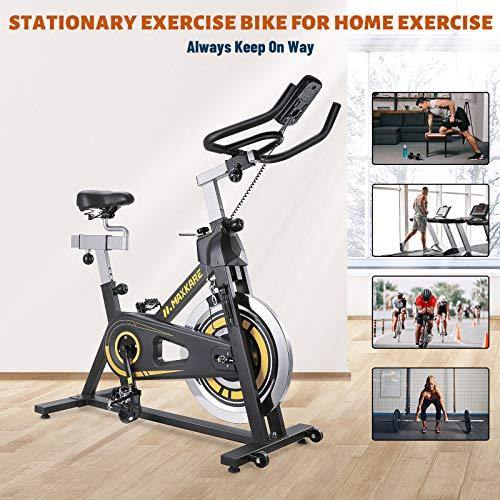 MaxKare Indoor Cycling Bike - Stationary Exercise Bike with LCD Monitor - JOY2ESpree