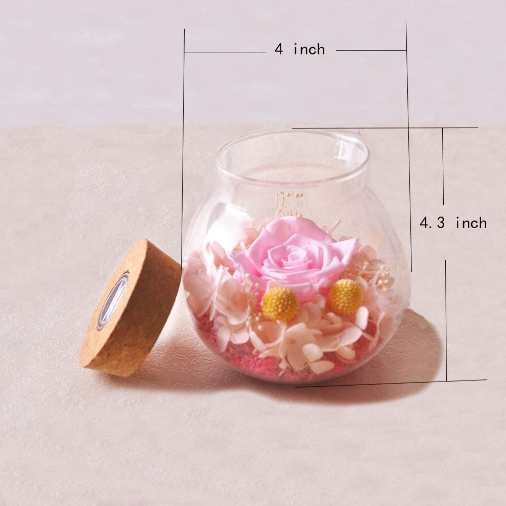 Forever Red Rose, Preserved Eternal Real Flower Present Gorgeous Led Mood Light
