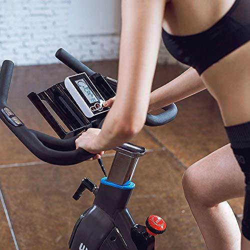L NOW Indoor Cycling Bike, Belt Drive Indoor Exercise Bike, Stationary Bike LCD Display with 44LBS Flywheel - JOY2ESpree