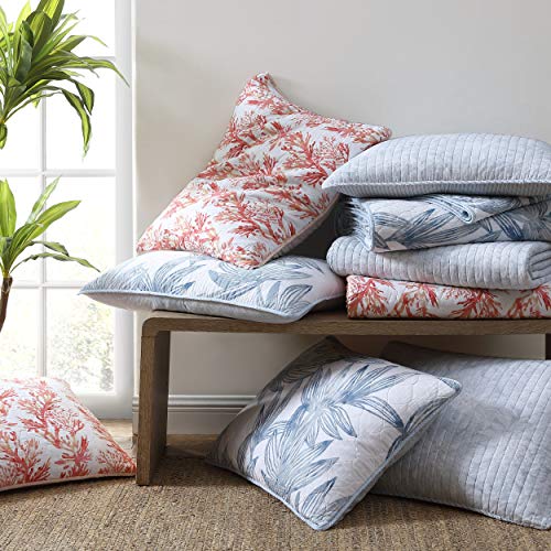 Tommy Bahama | Kayo Collection | Quilt Set - 100% Cotton - Cozy