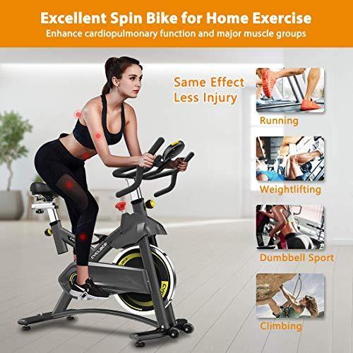 Cyclace Exercise Bike Stationary 330 Lbs Weight Capacity- Indoor Cycling Bike with Comfortable Seat Cushion, Tablet Holder and LCD Monitor - JOY2ESpree