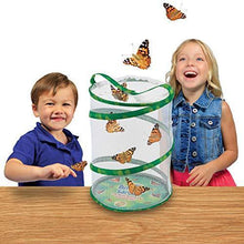 
                        
                          將圖片載入圖庫檢視器 Insect Lore - BH Butterfly Growing Kit - With Voucher to Redeem Caterpillars Later - JOY2ESpree
                        
                      