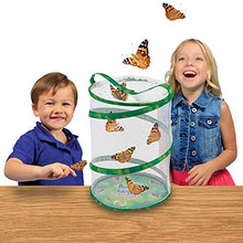 
                        
                          画像をギャラリービューアに読み込む, Insect Lore Butterfly Garden Habitat - JOY2ESpree
                        
                      