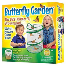 
                        
                          將圖片載入圖庫檢視器 Insect Lore - BH Butterfly Growing Kit - With Voucher to Redeem Caterpillars Later - JOY2ESpree
                        
                      