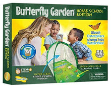 
                        
                          गैलरी व्यूवर में इमेज लोड करें, Insect Lore Butterfly Garden Home School Edition - JOY2ESpree
                        
                      