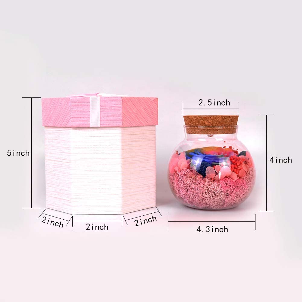 Forever Red Rose, Preserved Eternal Real Flower Present Gorgeous Led Mood Light