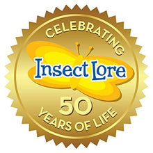 
                        
                          画像をギャラリービューアに読み込む, Insect Lore Butterfly Garden Habitat - JOY2ESpree
                        
                      