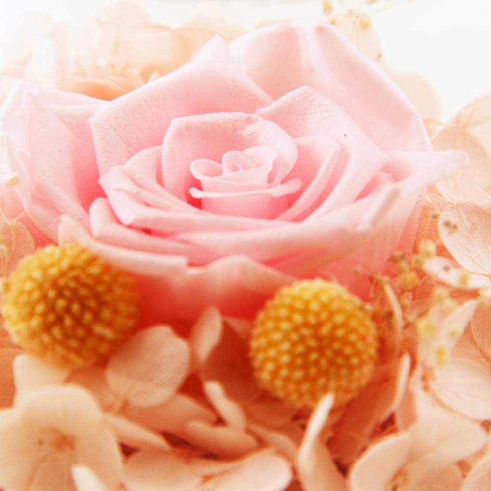 Forever Red Rose, Preserved Eternal Real Flower Present Gorgeous Led Mood Light