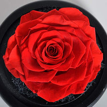 
                        
                          Cargar imagen en el visor de la galería, Eternal Rose- Preserved Flower Rose Handmade Fresh Flower Rose
                        
                      