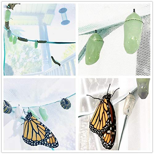 Scotamalone Collapsible Butterfly Habitat Garden Cage Butterfly Cage Butterfly House Insect Net Terrarium Net Pop-up - JOY2ESpree