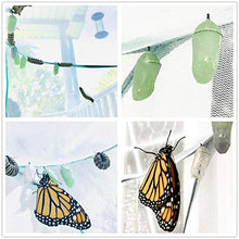 
                        
                          गैलरी व्यूवर में इमेज लोड करें, Scotamalone Collapsible Butterfly Habitat Garden Cage Butterfly Cage Butterfly House Insect Net Terrarium Net Pop-up - JOY2ESpree
                        
                      