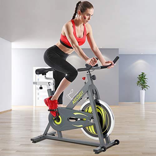 AECOJOY Cycling Exercise Bike 330 Lbs Weight Capacity - JOY2ESpree