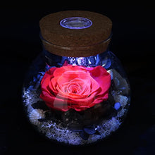 
                        
                          將圖片載入圖庫檢視器 Forever Red Rose, Preserved Eternal Real Flower Present Gorgeous Led Mood Light
                        
                      