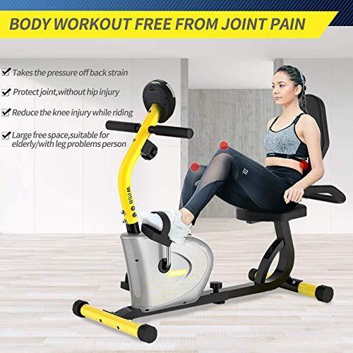 pooboo Recumbent Exercise Bike for Adults/Seniors, Magnetic Indoor Cycling Bikes - JOY2ESpree