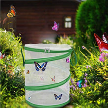 
                        
                          將圖片載入圖庫檢視器 ANTOLL Mini Insect Habitat Cage, Dragonfly Butterfly Flying Insect Mesh Cage - JOY2ESpree
                        
                      