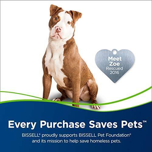 BISSELL Cleanview Swivel Pet Upright Bagless Vacuum Cleaner, Green, 2252 - JOY2ESpree