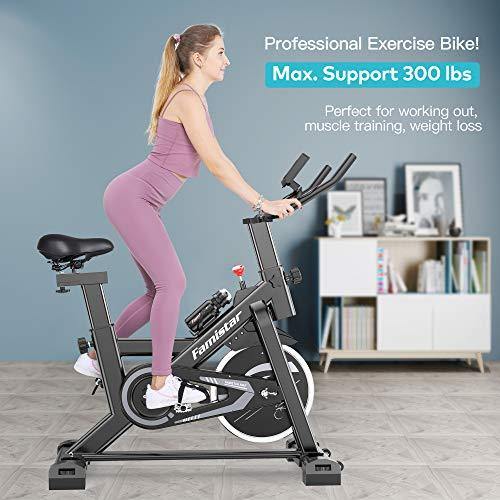 Famistar 40 lbs Quiet Flywheel 300 lbs Capacity Exercise Bike, Indoor Cycling Bike Stationary with LCD Display - JOY2ESpree