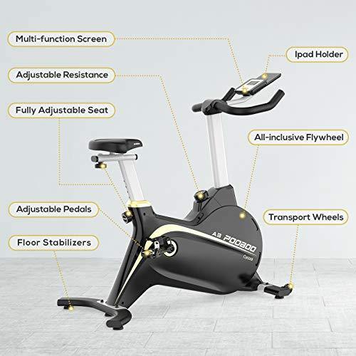Cycool Exercise Bike Stationary Bike with Adjustable Magnetic Resistance All-Inclusive Flywheel Indoor Cycling Bike - JOY2ESpree