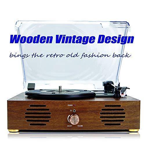 Record Player-13 in 1 Turntable with Speakers Vinyl Recording LP Bluetooth USB TF Card FM Radio Aux Input RCA Line Out and Headphone Jack - JOY2ESpree