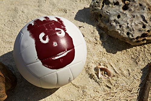 Wilson Cast Away Volleyball - JOY2ESpree