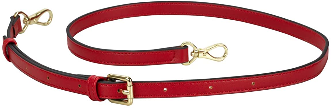 Allzedream Leather Purse Strap Replacement Crossbody Handbag Long Adjustable