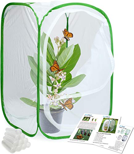 RESTCLOUD Insect and Butterfly Habitat Cage Terrarium Pop-up 24 Inches Tall with 10Pcs 10ML Floral Tubes - JOY2ESpree
