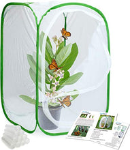 
                        
                          画像をギャラリービューアに読み込む, RESTCLOUD Insect and Butterfly Habitat Cage Terrarium Pop-up 24 Inches Tall with 10Pcs 10ML Floral Tubes - JOY2ESpree
                        
                      