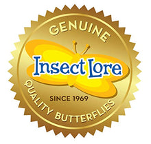 
                        
                          Cargar imagen en el visor de la galería, Insect Lore Butterfly Pavilion - JOY2ESpree
                        
                      