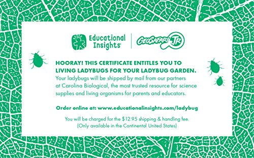 Educational Insights GeoSafari Jr. Ladybug Garden: Kids Outdoor Toys, Watch From Larva to Ladybug - JOY2ESpree