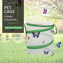 
                        
                          將圖片載入圖庫檢視器 ANTOLL Mini Insect Habitat Cage, Dragonfly Butterfly Flying Insect Mesh Cage - JOY2ESpree
                        
                      