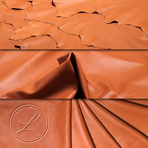Laverapelle Men's Genuine Lambskin Leather Jacket (Cognic Tan, Custom, polyester Lining) - 1501200