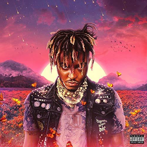 Legends Never Die [2 LP]






Explicit Lyrics - JOY2ESpree
