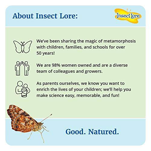 Insect Lore - BH Butterfly Growing Kit - With Voucher to Redeem Caterpillars Later - JOY2ESpree