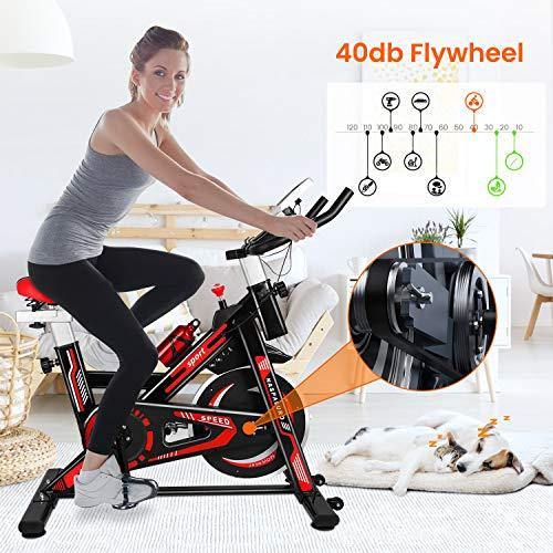 Naspaluro Exercise Bike, Stationary Bikes for Exercise & fitness Home Gyms - JOY2ESpree