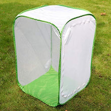
                        
                          गैलरी व्यूवर में इमेज लोड करें, RESTCLOUD 36" Large Monarch Butterfly Habitat, Giant Collapsible Insect Mesh Cage Terrarium Pop-up 24 x 24 x 36 Inches - JOY2ESpree
                        
                      
