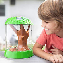 
                        
                          गैलरी व्यूवर में इमेज लोड करें, Educational Insights GeoSafari Jr. Ladybug Garden: Kids Outdoor Toys, Watch From Larva to Ladybug - JOY2ESpree
                        
                      