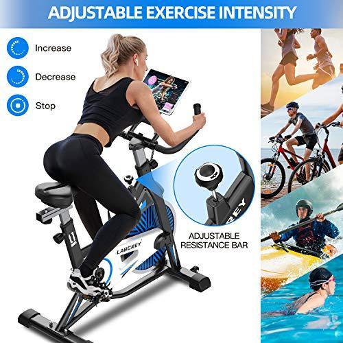 LABGREY Exercise Bike Indoor Cycling Bike Stationary Cycle Bike - JOY2ESpree