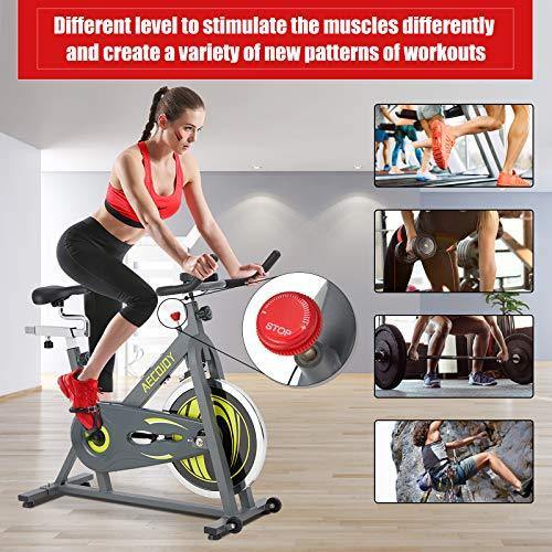 AECOJOY Cycling Exercise Bike 330 Lbs Weight Capacity - JOY2ESpree
