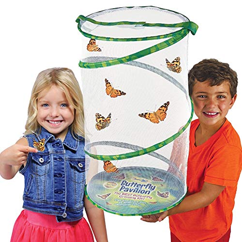 Insect Lore Butterfly Pavilion: Pavilion Habitat and Two Live Cups of Caterpillars with STEM Butterfly Journal - JOY2ESpree