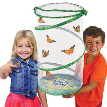 
                        
                          Cargar imagen en el visor de la galería, Insect Lore Butterfly Pavilion: Pavilion Habitat and Two Live Cups of Caterpillars with STEM Butterfly Journal - JOY2ESpree
                        
                      