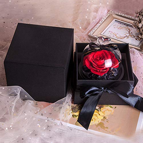 Eternal Rose- Preserved Flower Rose Handmade Fresh Flower Rose