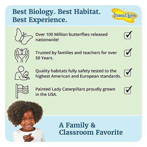 Insect Lore - BH Butterfly Growing Kit - With Voucher to Redeem Caterpillars Later - JOY2ESpree
