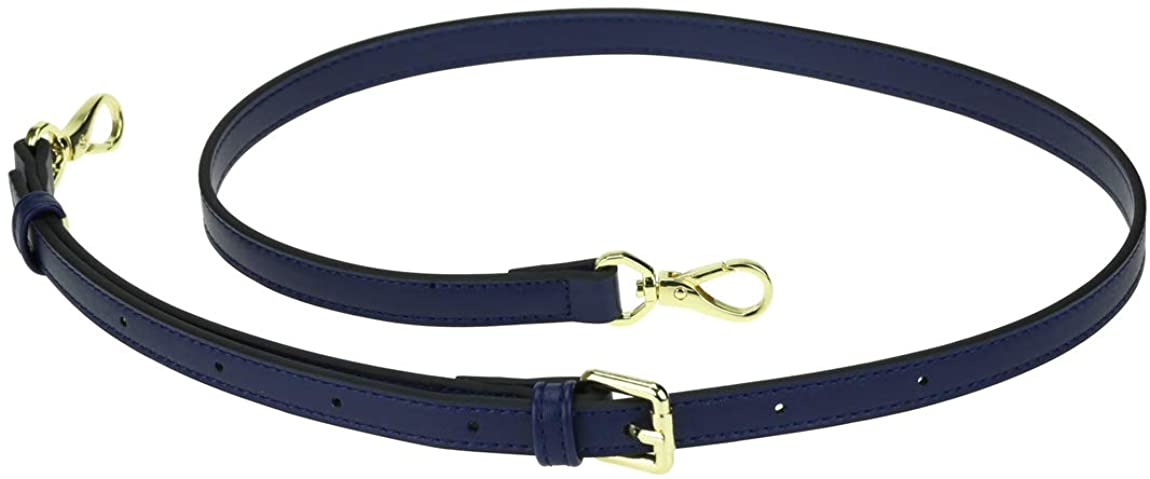 Allzedream Leather Purse Strap Replacement Crossbody Handbag Long Adjustable