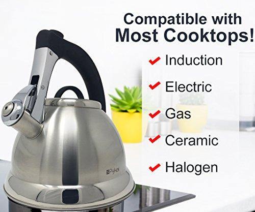 Whistling Tea Kettle with iCool - Handle, Surgical Stainless Steel Teapot for ALL Stovetops, 2 FREE Infusers Included, 3 Quart by Pykal - JOY2ESpree