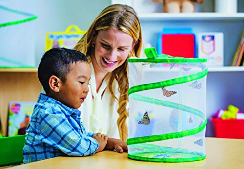 Insect Lore Butterfly Garden Habitat - JOY2ESpree