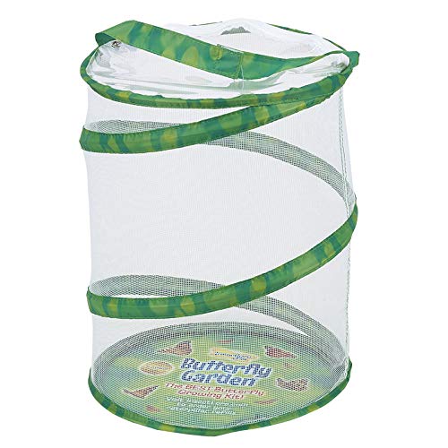 Insect Lore Butterfly Garden Habitat - JOY2ESpree