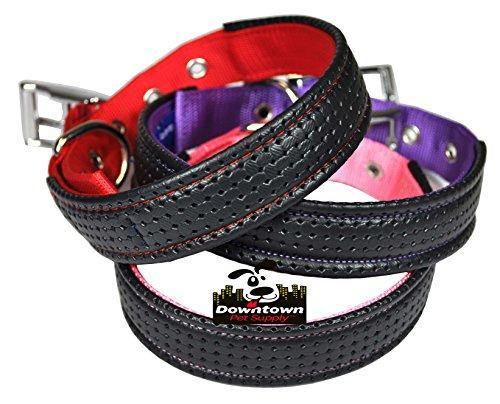 Downtown Pet Supply Deluxe Adjustable Thick Dog Collar, (Purple, XLarge)