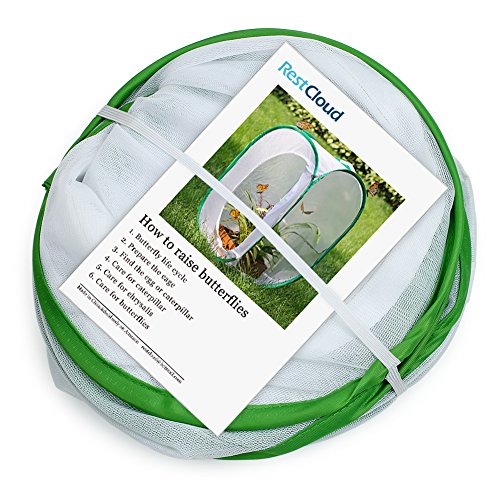 RESTCLOUD Insect and Butterfly Habitat Cage Terrarium Pop-up 23.6 Inches Tall - JOY2ESpree