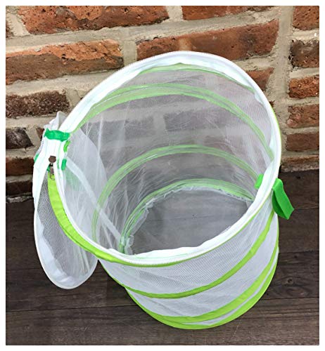 Chyl & Party Pop-up Collapsible Insect and Butterfly Habitat Cage Toy - JOY2ESpree